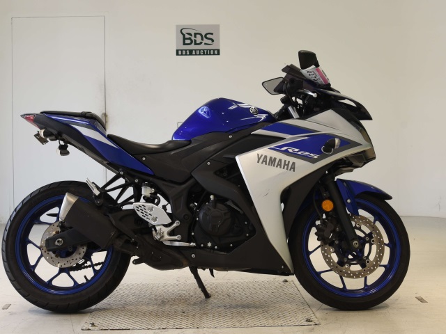 Yamaha YZF-R25