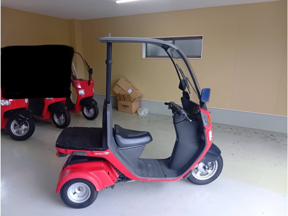 Honda GYRO CANOPY 2011