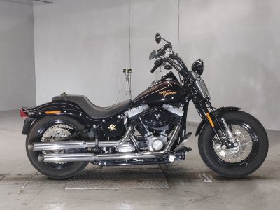 HD CROSS BONES FLSTSB1580 2010