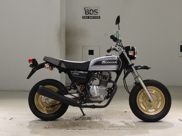 Honda APE100 2008