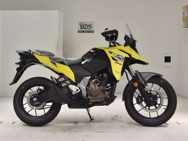 Suzuki V-STROM DL250SX