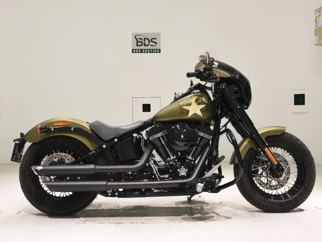 HD SLIM S FLSS1800 2017
