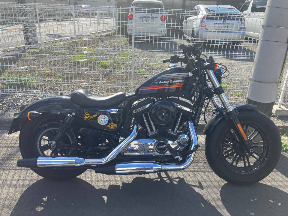 HD IRON XL1200NS 2018