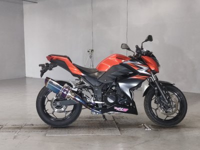 Kawasaki Z250 2014