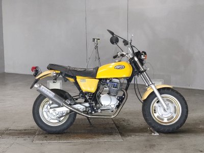 Honda APE100 2006