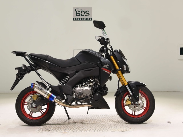 Kawasaki Z125 PRO 2021