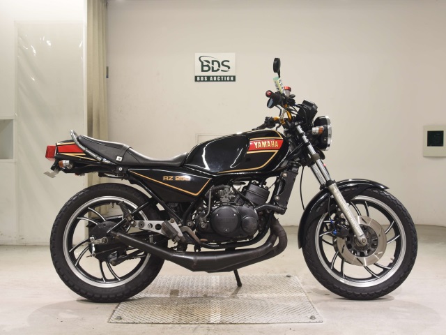 Yamaha RZ250