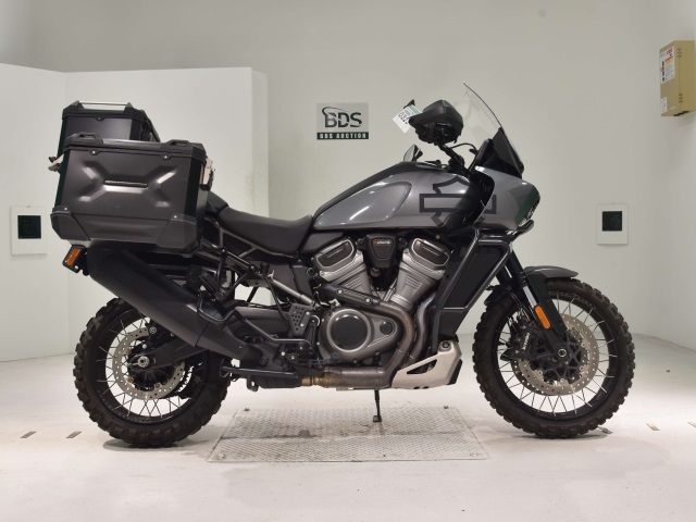 HD PAN AMERICA1250 S 2021