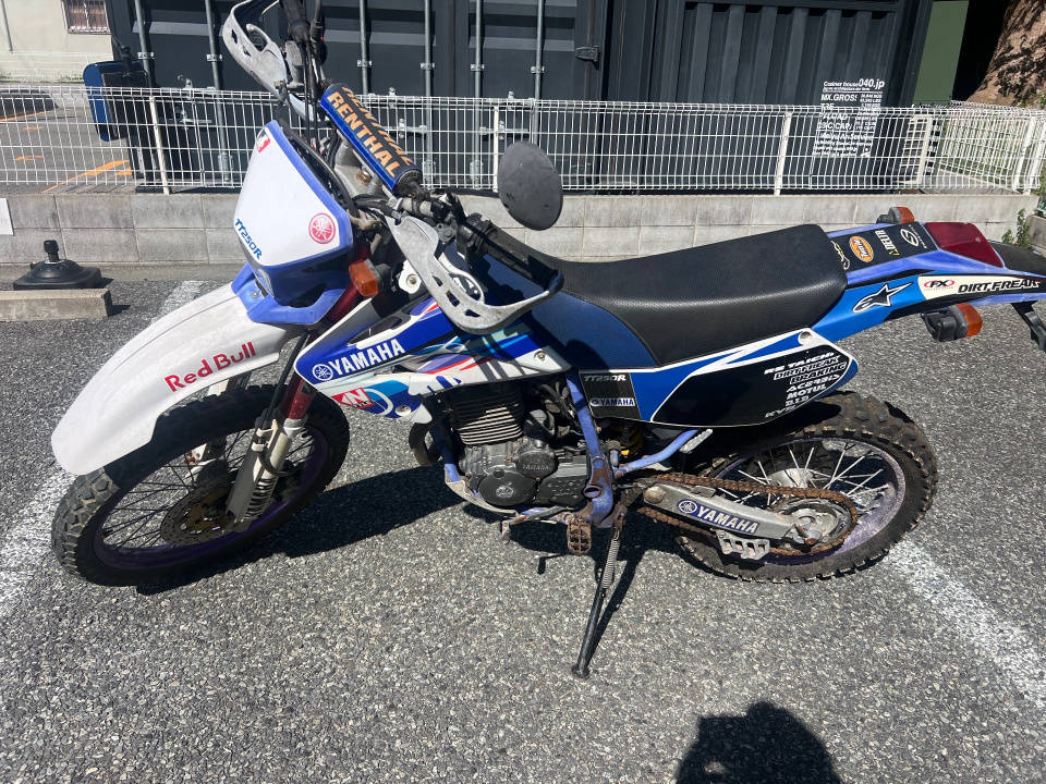 Yamaha TT250R 1993