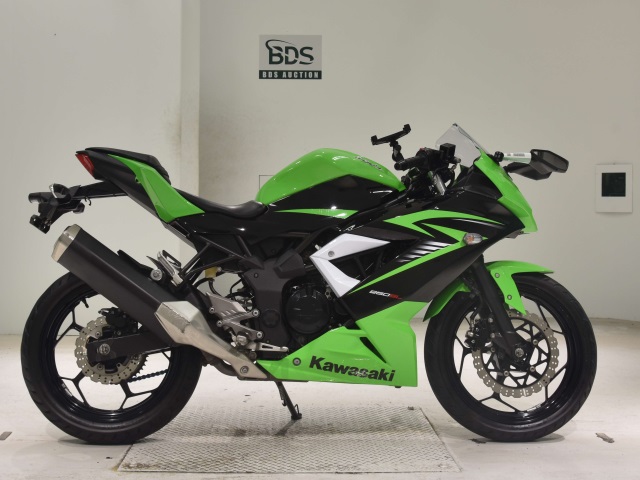 Kawasaki NINJA250 2015