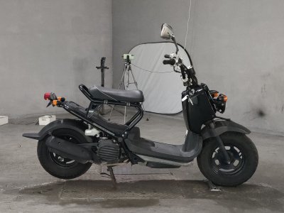 Honda ZOOMER 2008
