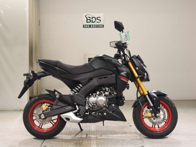 Kawasaki Z125 PRO 2021