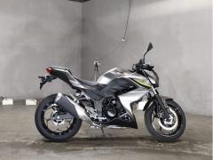 Kawasaki Z250 2017