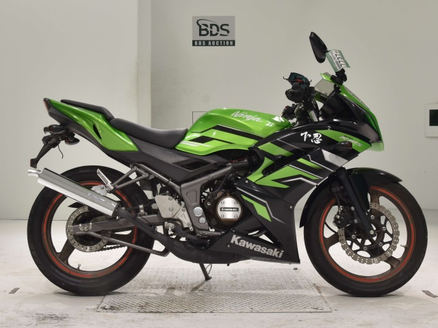 Kawasaki NINJA150RR 2015
