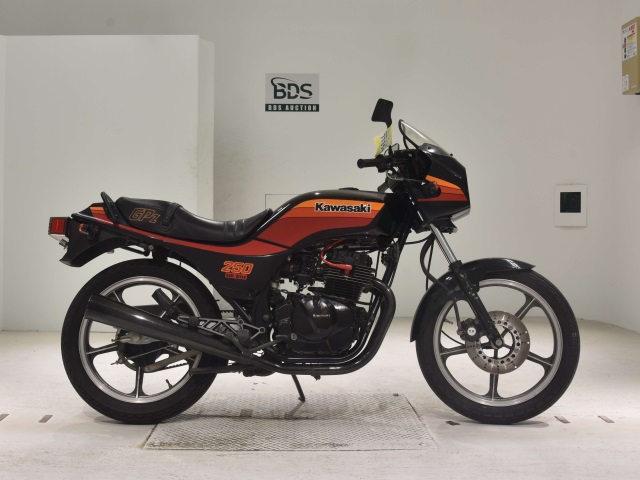 Kawasaki GPZ250