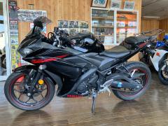 Yamaha YZF-R25 2015
