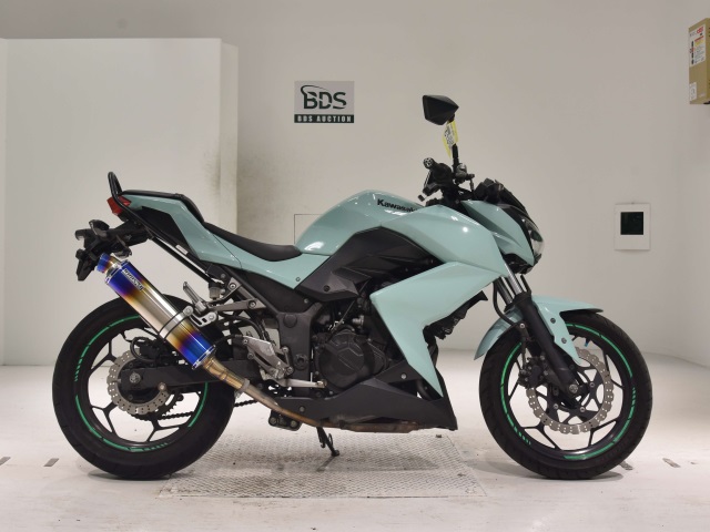 Kawasaki Z250 2013