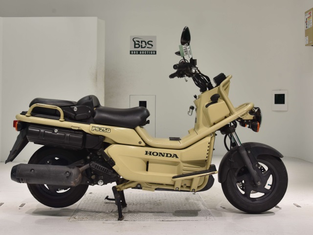 Honda PS250 BIG RUCKUS 2006