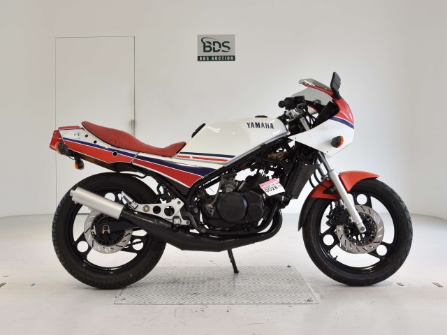 Yamaha RZ250R 1984
