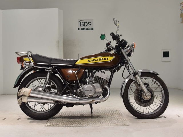 Kawasaki 500SS 2024