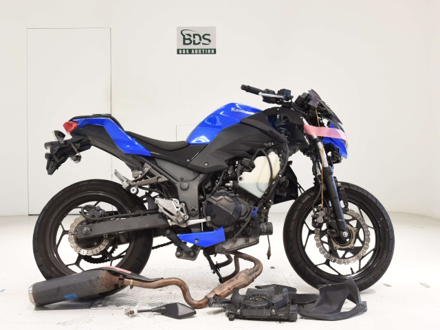 Kawasaki Z250A 2015
