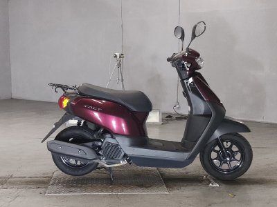 Honda TACT125 2024