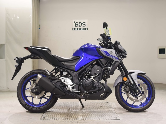 Yamaha MT-25 2021