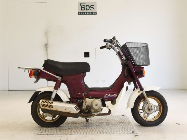 Honda CHALY50 1995