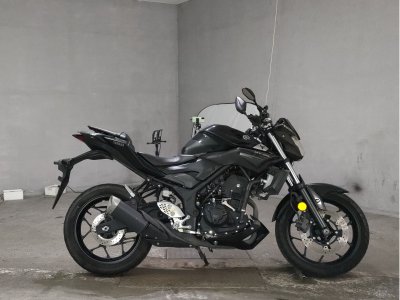 Yamaha MT-25 2016