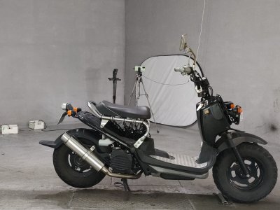 Honda ZOOMER 2008
