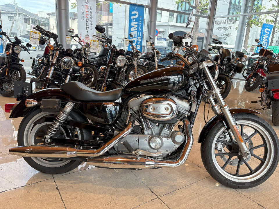 HD SPORTSTER XL883R 2018