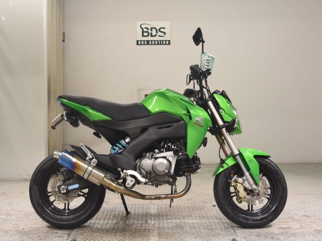 Kawasaki Z125 PRO 2016