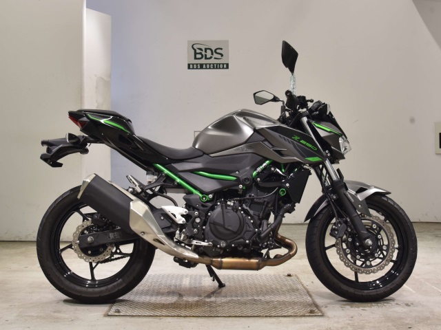 Kawasaki Z250 2024