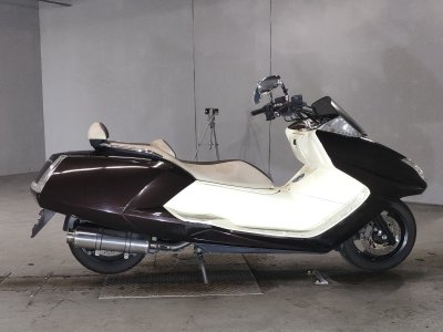 Yamaha MAGZAM 2010