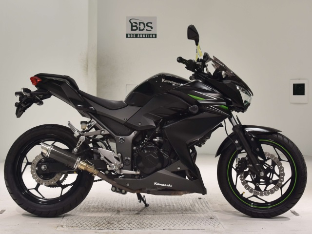 Kawasaki Z250 2013