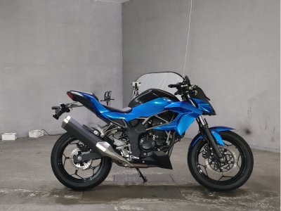 Kawasaki Z250SL 2016