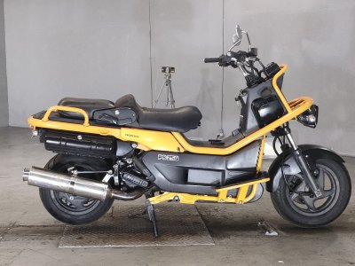 Honda PS250 BIG RUCKUS 2005