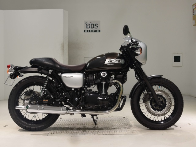 Kawasaki W800 2021