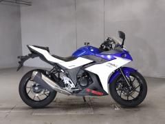 Suzuki GSX250R
