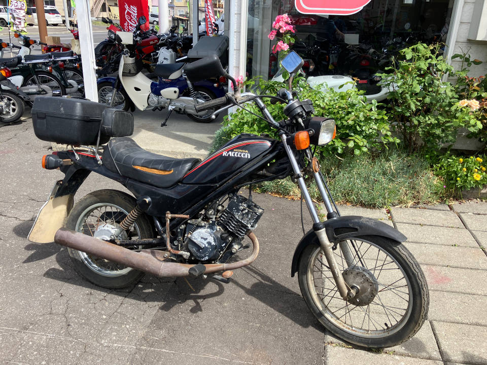 Honda RACCOON 1980