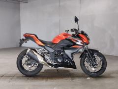 Kawasaki Z250 2014