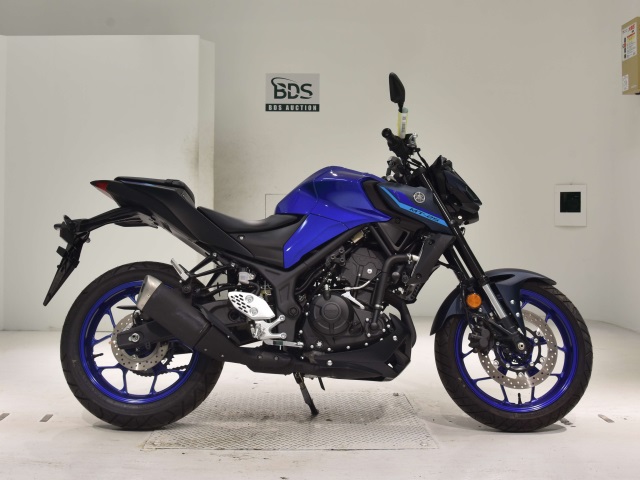 Yamaha MT-25 2022