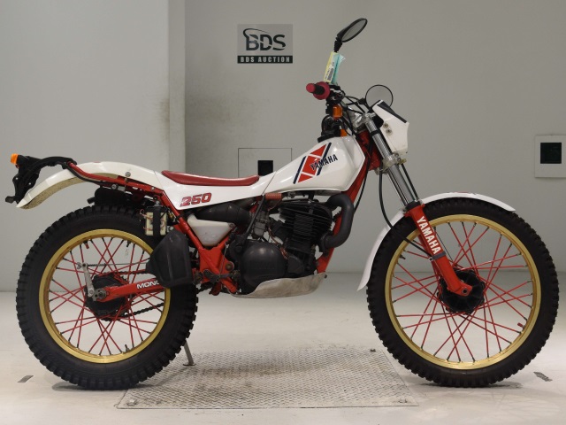 Yamaha TY250Z SCOTTISH 1984