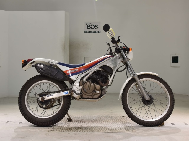 Honda TLR250R 1986