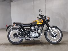 Kawasaki W800 2019