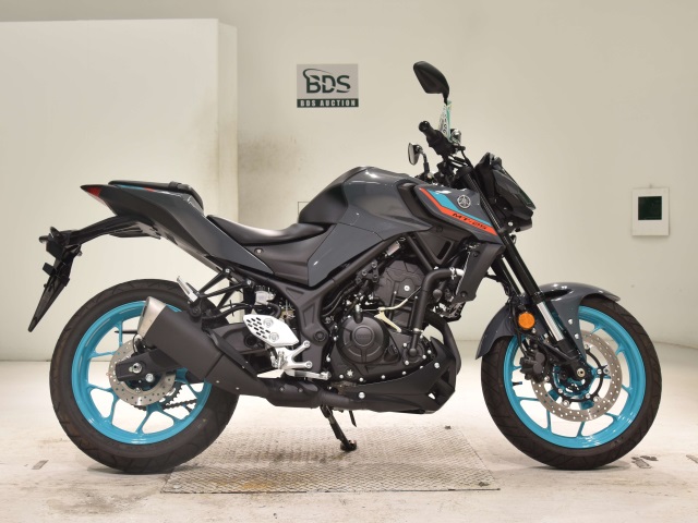 Yamaha MT-25 2022
