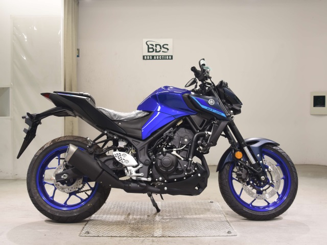 Yamaha MT-25 2022