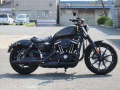HD SPORTSTER IRON XL883N 2019