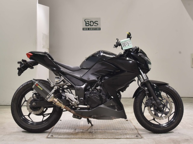 Kawasaki Z250 2013