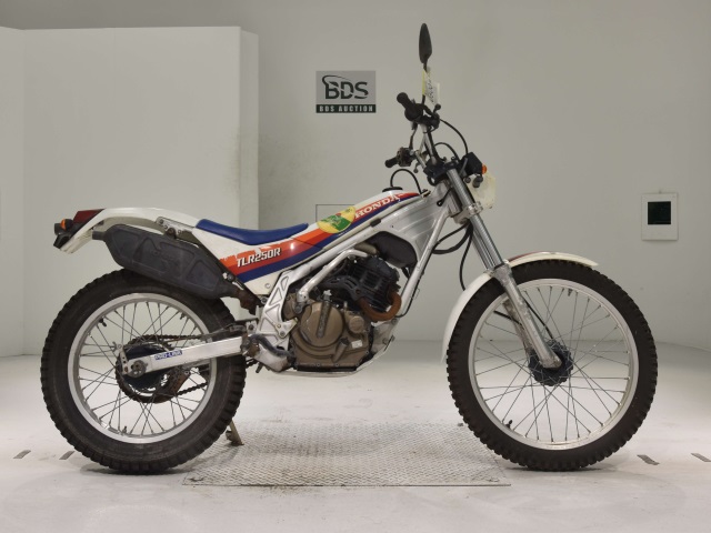 Honda TLR250R 1986
